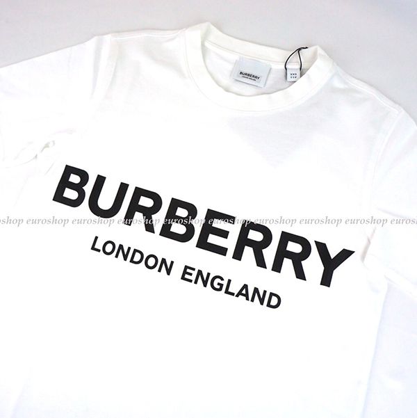 バーバリー★ロゴTシャツコピー 選べるカラバリ? 8008894113839