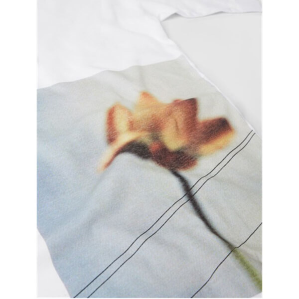 日本未入荷?コットン クルーネック プリントTシャツコピー【マルニ】