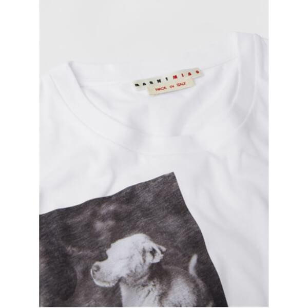 日本未入荷?コットン クルーネック プリントTシャツコピー【マルニ】