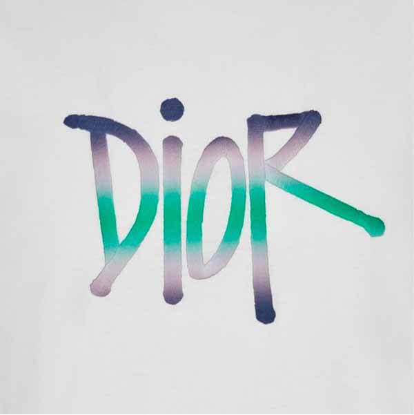 ロゴTシャツ偽物★ディオール AND SHAWN★グラフィックコットン/注目コラボ